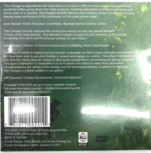 Kelp and Creatures DVD